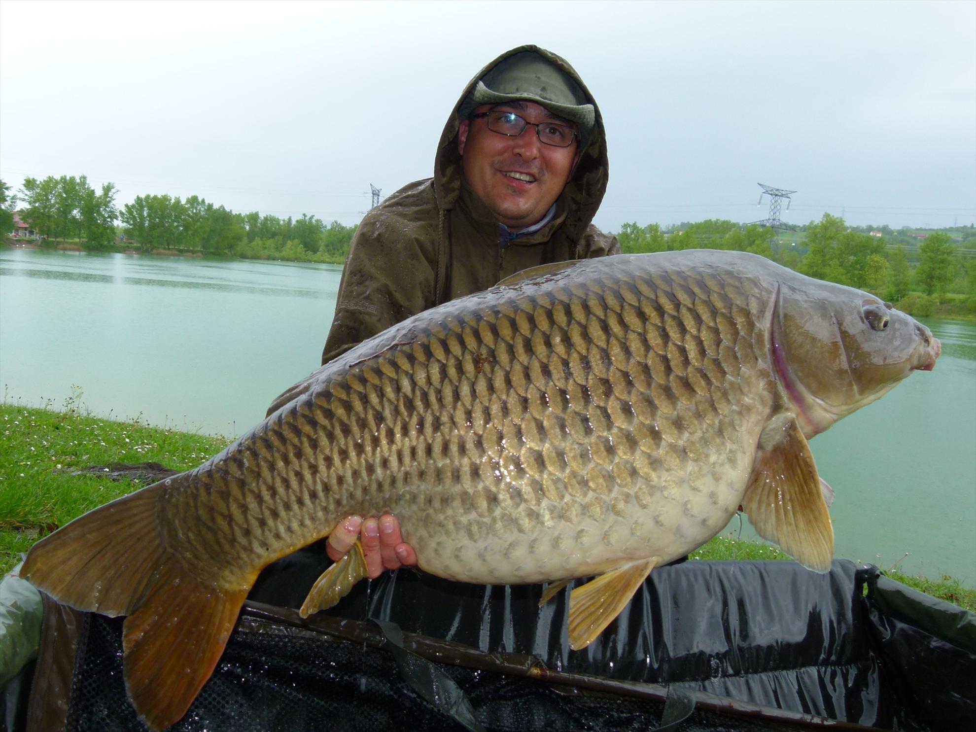 THE BIGS OF 2012 - p1000044.JPG